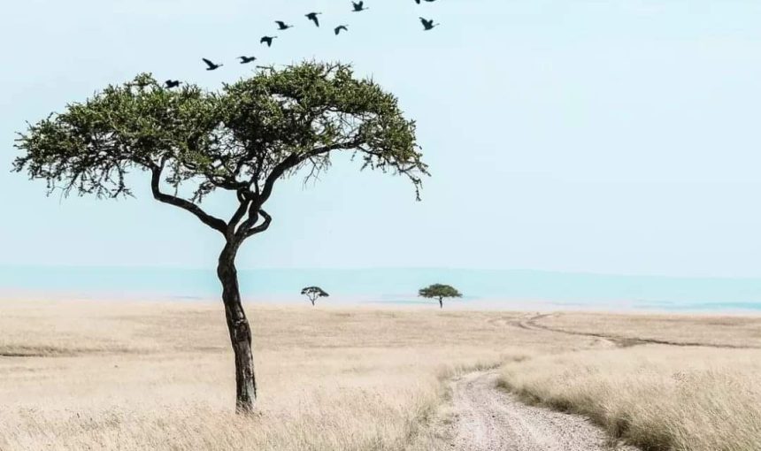 Nomadic Nature Expedition