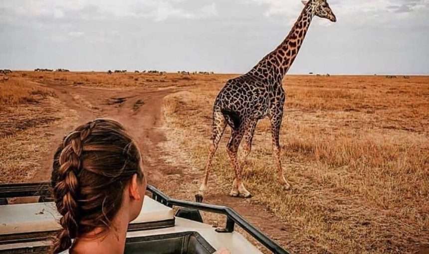 Nature’s Grand Stage safari