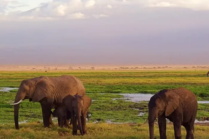 Tarangire-National-Park