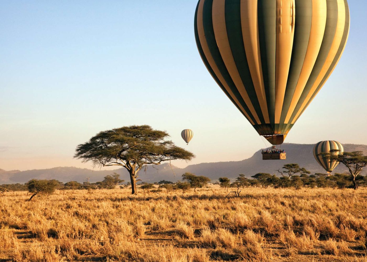 Hot air balloon